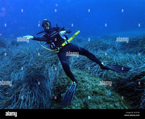 Cavediving Hi Res Stock Photography And Images Alamy