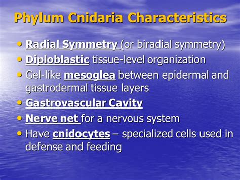 Chapter 9 Multicellular And Tissue Levels Of Organization Ppt Video