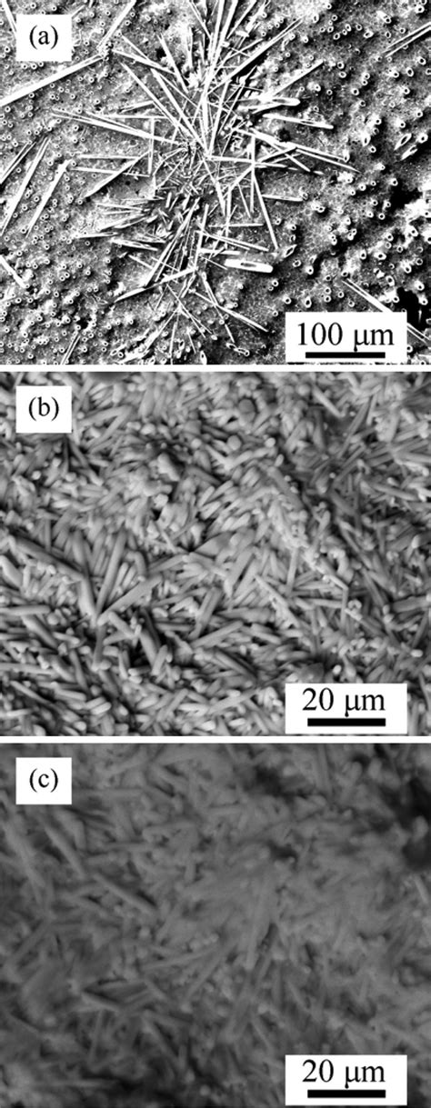 Surface Microstructure Features Of The LZ7C3 Ceramic After CMAS