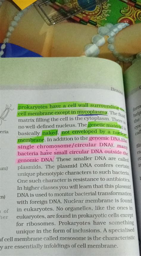 prokaryotes have a cell wall surrounding the cell membrane except in myco..