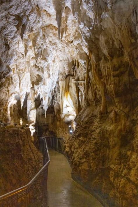 Waitomo Caves Glowworms Blackwater Rafting The Best Tours Earth