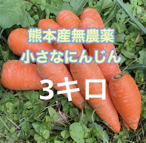 熊本産無農薬小さなにんじん3キロ メルカリ