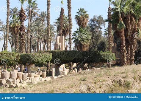 Estatua De Rameses Ii En El Museo De Mit Rahina Foto Editorial Imagen