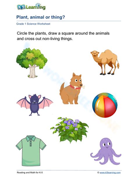 Living And Non Living Things Worksheet