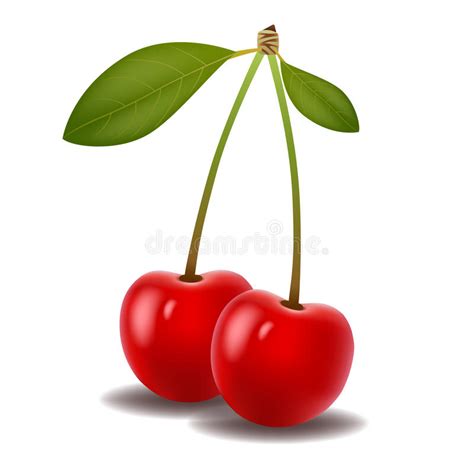 Ripe Red Cherry Berries Stock Vector Illustration Of Concepts 78692957