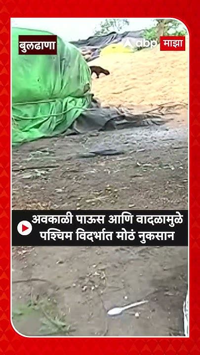 Buldhana Rain अवकाळी पावसाने पश्चिम विदर्भात मोठं नुकसान Youtube