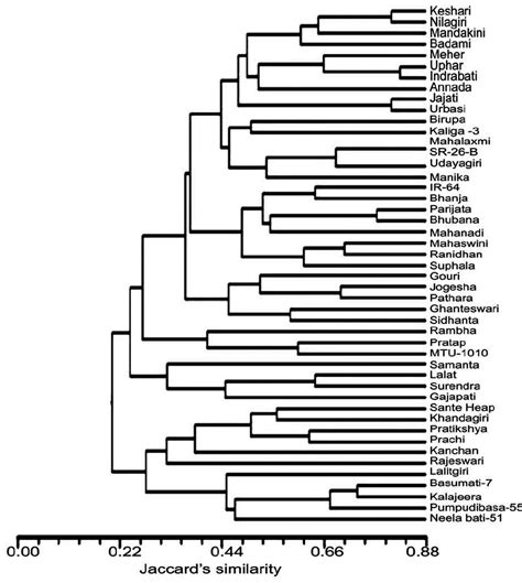 Upgma Dendrogram Based On The Similarity Coefficient Showing The