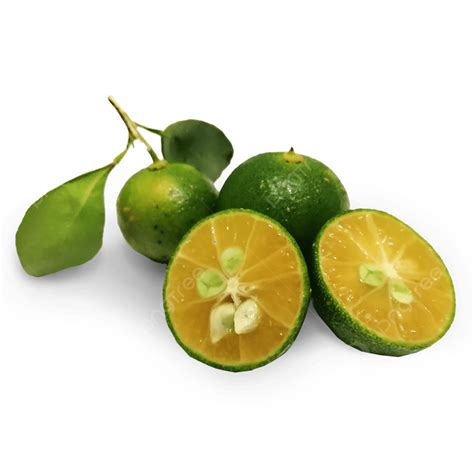 Calmansi Calamansi Citrus Fruit Png Transparent Clipart Image And