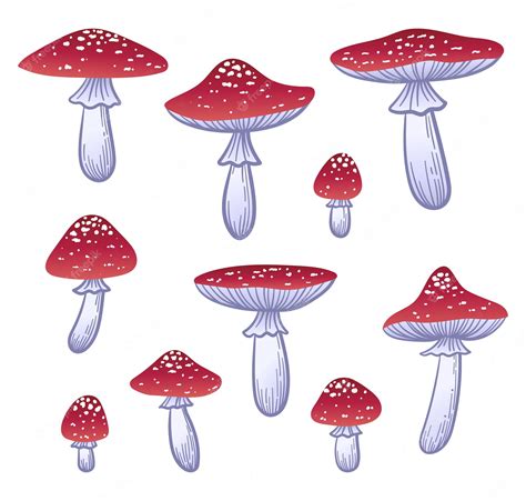 Premium Vector Fly Agaric Set Hand Drawn Vector Mushrooms