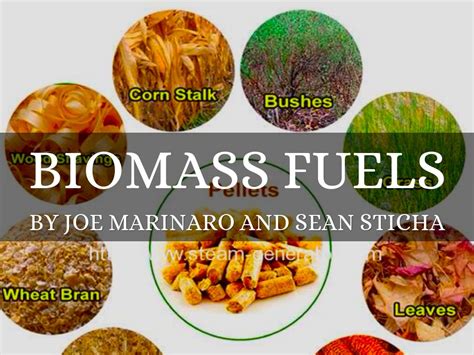 BIOMASS FUELS by Joe Marinaro