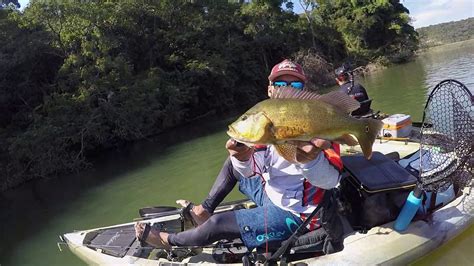 PESCARIA DE TUCUNARÉ REPRESA DE MAIRIPORÃ YouTube