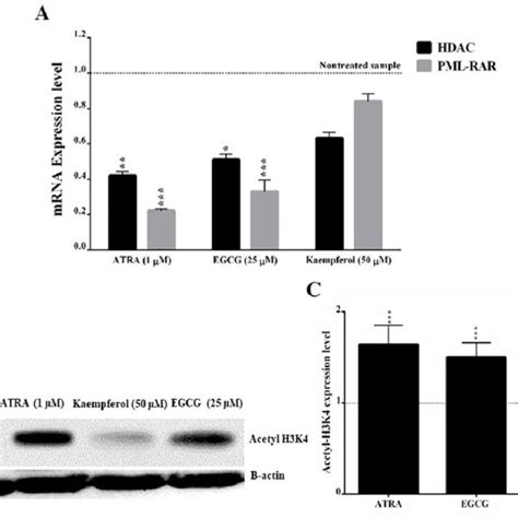 Effects Of Egcg And Kaempferol On Hdac And Pml Rar Genes Expression