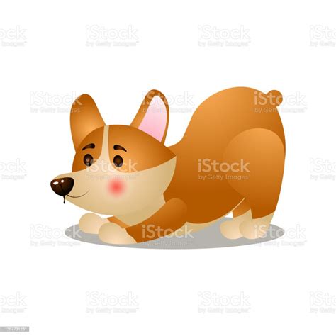 Vetores De Cachorro Corgi Feliz Bonito Faz Exercício Matinal E Mais