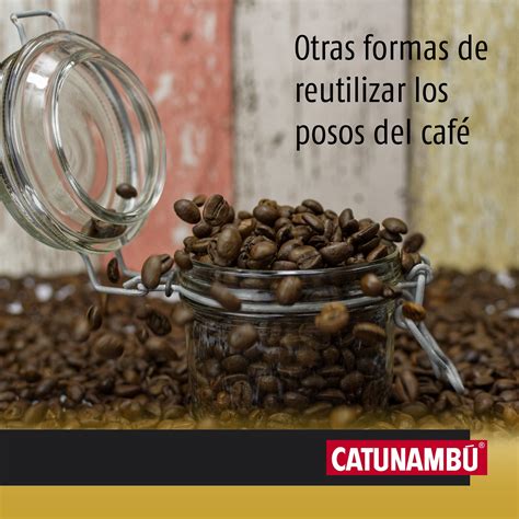 Formas De Reutilizar Los Posos Del Caf Catunambu