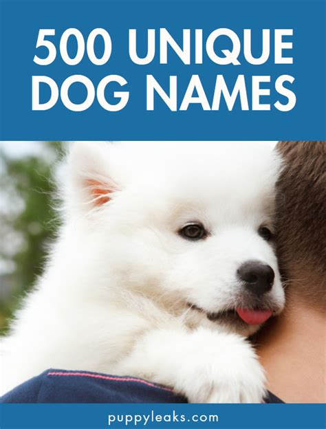 500 Unique Dog Names Dogforms