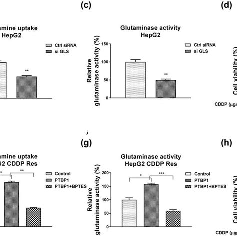 Roles Of The Ptbp Glsglutamine Metabolism Pathway In Cddp Resistant