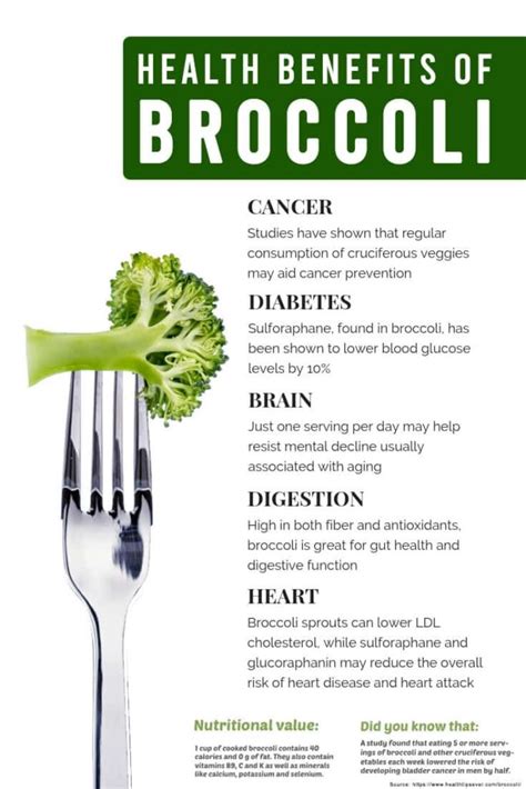 8 Broccoli Benefits: Why You Should Start Eating | HealthtoStyle