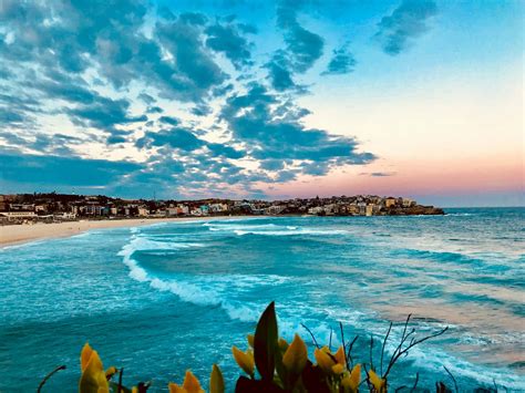 100 Bondi Beach Wallpapers