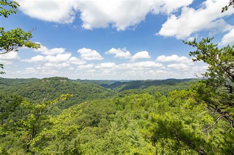 Exploring Daniel Boone National Forest In Kentucky Sarah Loves The Scenic Route