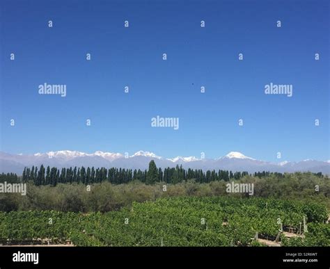 Uco Valley, Mendoza, Argentina Stock Photo - Alamy