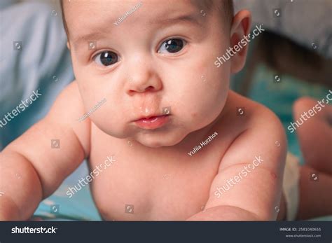 Naked Baby Lying On His Stomach Stock Photo 2581040655 Shutterstock