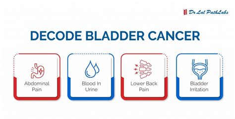 Bladder Cancer: Symptoms, Diagnosis and Prevention - Dr Lal PathLabs Blog