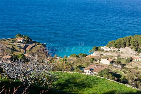 Vue Panoramique Des Terrasses De Baie Et De Vignoble De Banyalbufar