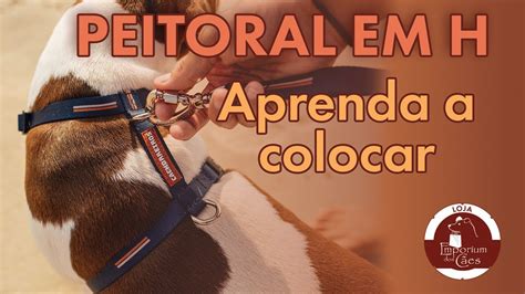 Como Colocar O Peitoral No Cachorro Corretamente Youtube