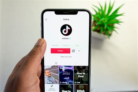 Cuentas De Tiktok Originales Que Te Gustar Seguir