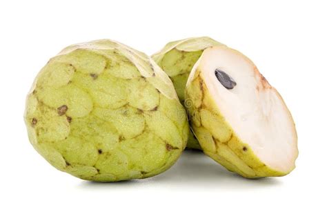 Fresh Custard Apple Stock Image Image Of Bullock Aarticum 105497891