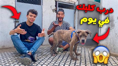 تدريب أذكي كلب في العالم في يوم واحد 🐕💔 صدمني هاد الكاني كورسو 😱🔥 Youtube