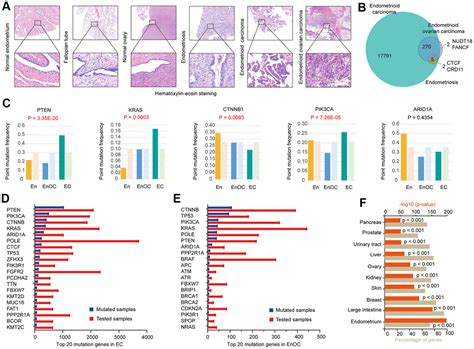 Genomic Mutation Features Identify Distinct Brca Associated Mutation