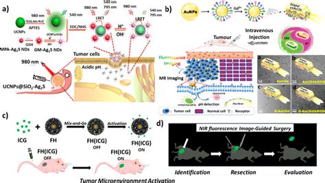 PH Responsive Nanoprobes A Schematic Of LRET Based Nanoplatform As A