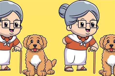 Tes Penglihatan Coba Temukan Perbedaan Pada Nenek Dan Anjing Ini