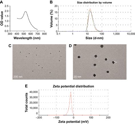 Characterization Of Aunps Notes A Uv Visible Spectrum Showed An