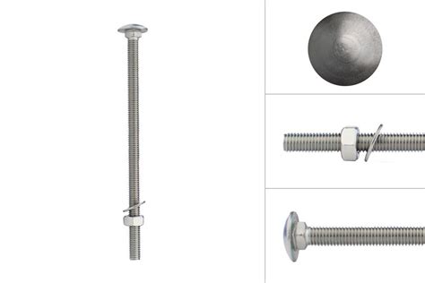 Carriage Bolts Stainless Steel M X Mm Quick Delivery