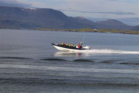 Puffin Express By Rib Speedboat Reykjavik Excursions