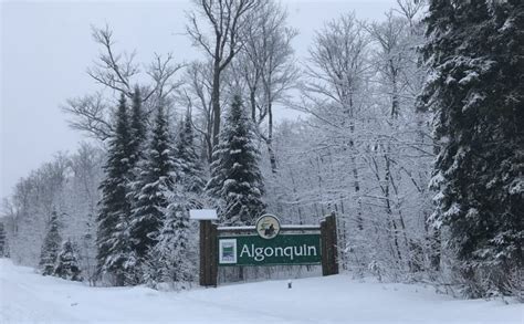 My winter hot tent trip to Algonquin Provincial Park