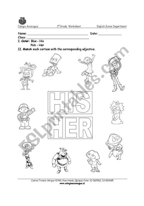 Our Their His Her Worksheet