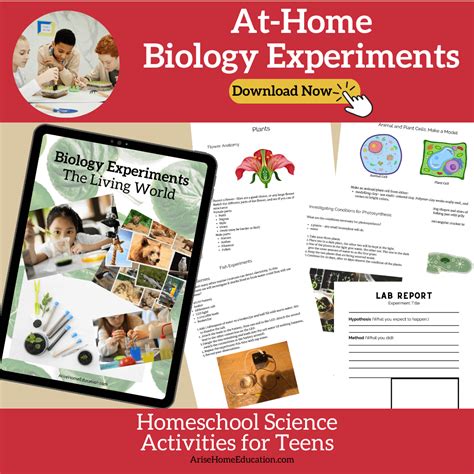 Science Experiments for High School Biology - Arise Home Education