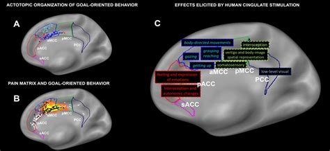 Journal of Clinical Neurophysiology