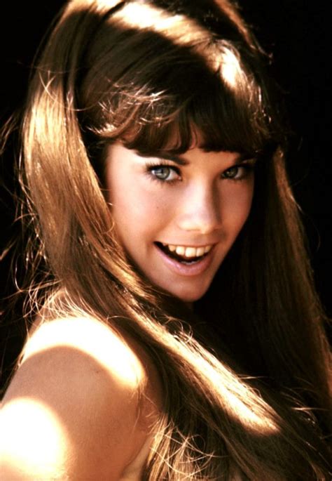 Stunning Photos Of A Young Barbi Benton In The 1970s And 1980s Rare Historical Photos