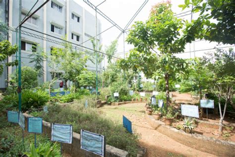 Herbal Garden – Sri Sairam Siddha Medical College & Research Centre