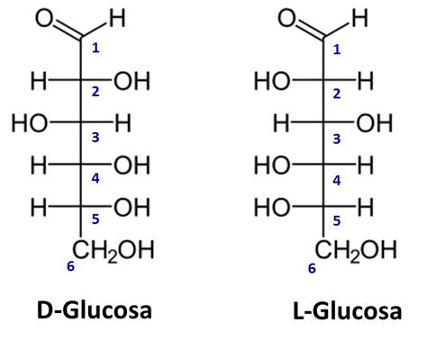 Qué Son Los Azúcares Concepto Y Clasificación Química Significados