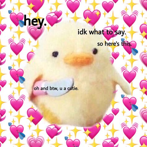 Lil Chick With Knife Wholesome Reaction Pic Cute Memes Funny