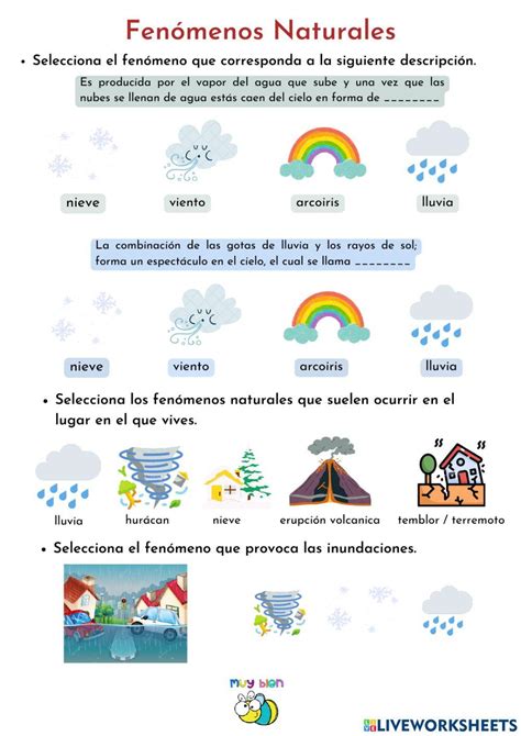 Pdf Online Activity Fenómenos Naturales Live Worksheets