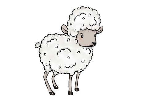 How To Draw A Sheep Design School