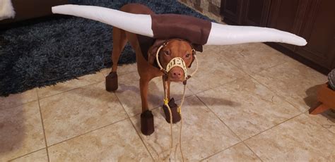 843 best r/longhornnation images on Pholder | My Dad is one of the good