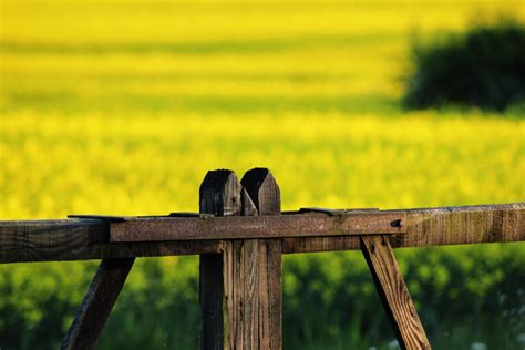 Pictures of Sheepy Magna, Leicestershire, England | England Photography ...