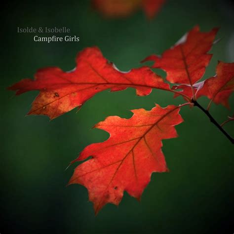 Archive Index for the 24-Hour Campfire Forum Settings